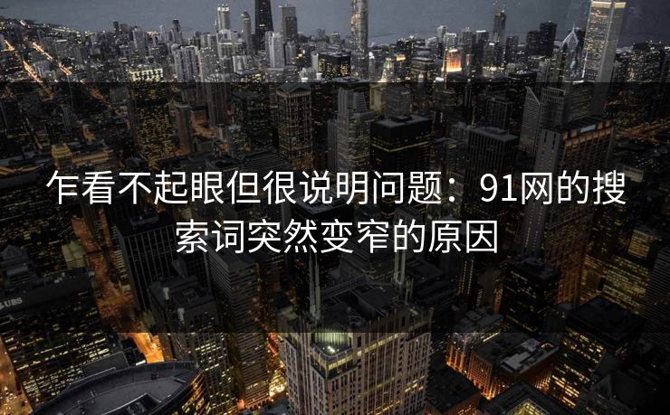 乍看不起眼但很说明问题：91网的搜索词突然变窄的原因